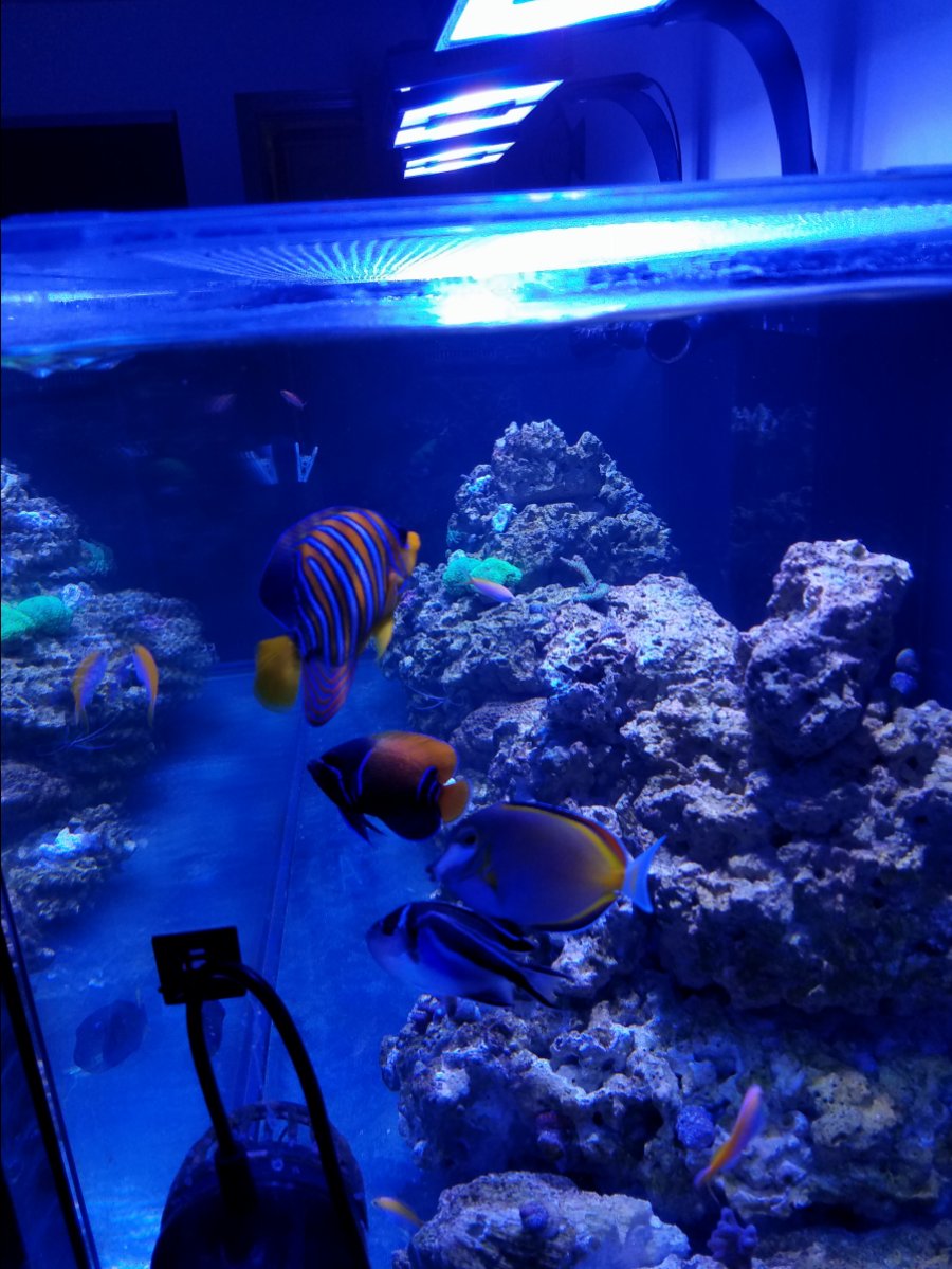 20190308_155756.jpg