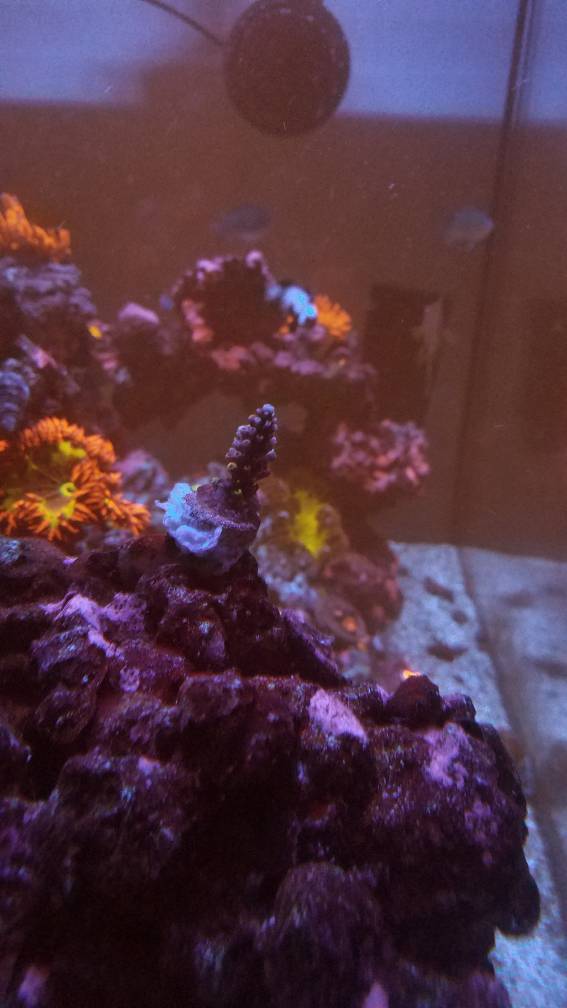 20190308_194927.jpeg