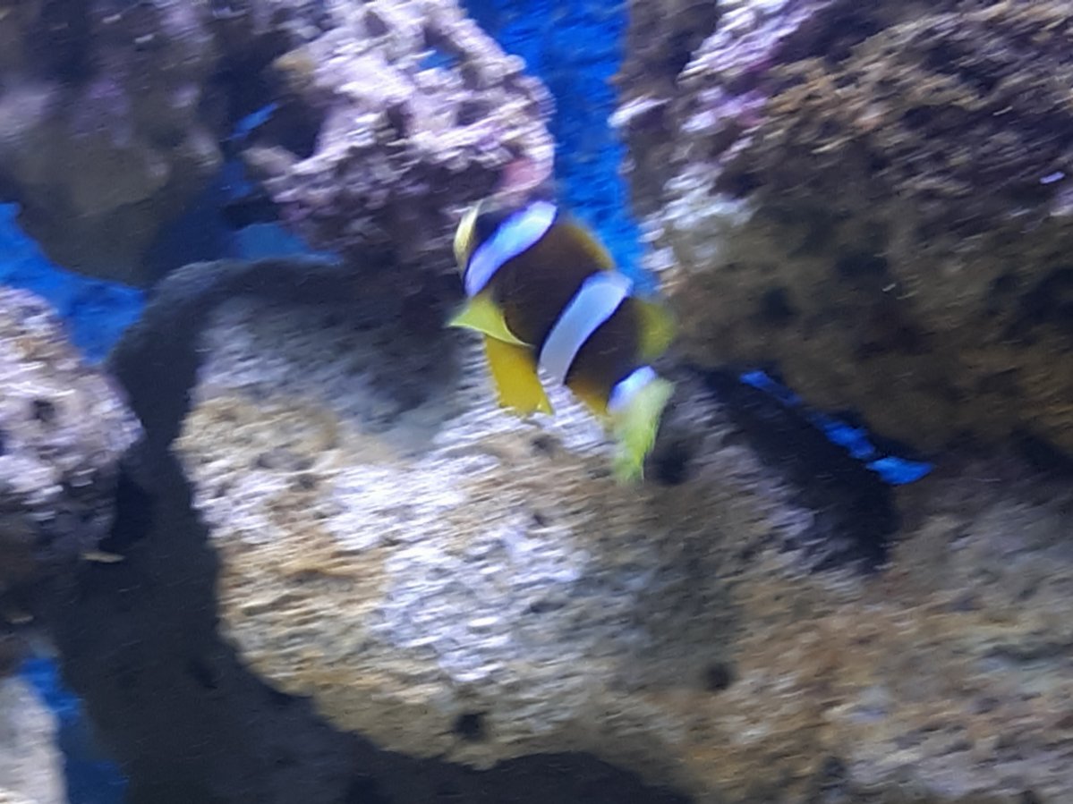 20190309_093547.jpg