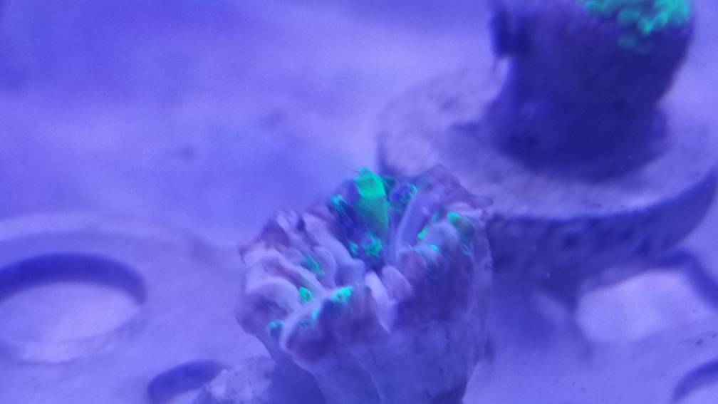 20190309_143854.jpeg