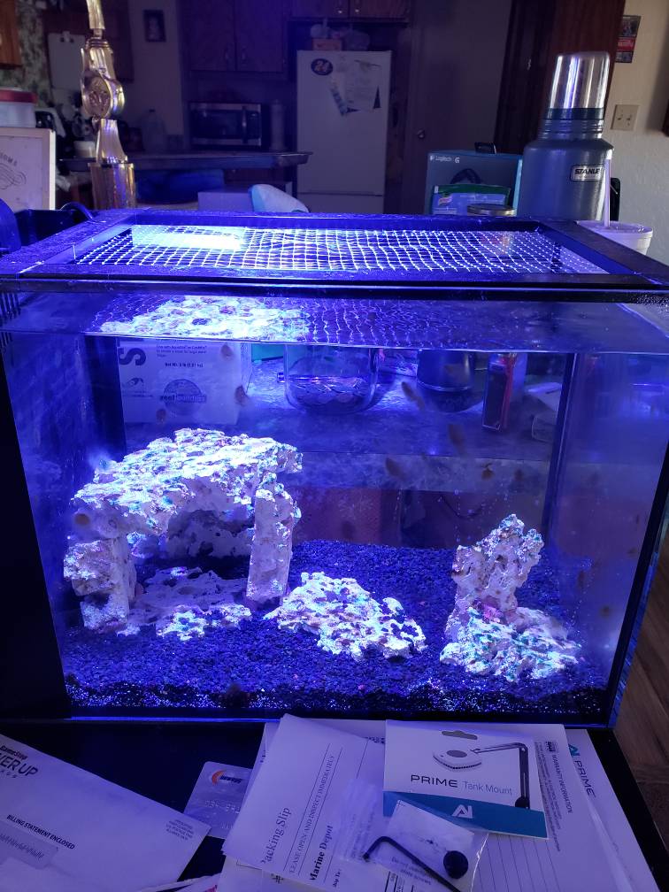 20190309_144243.jpeg