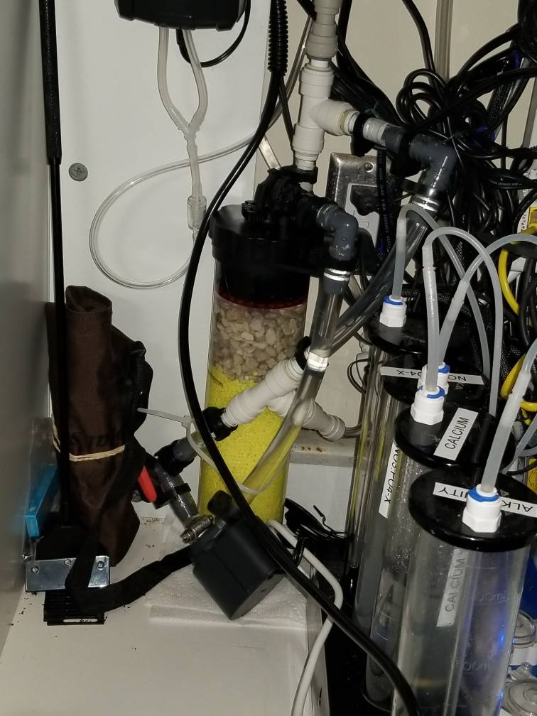 20190309_190408.jpeg