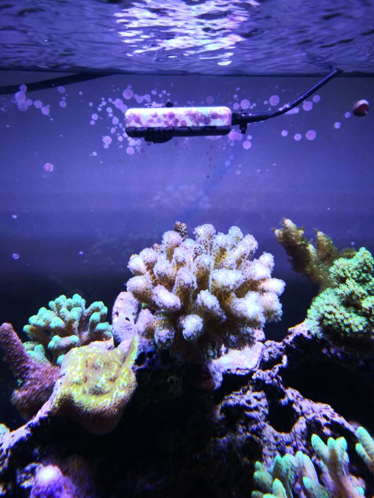 20190309_195433.jpeg