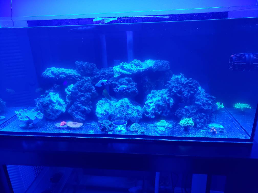 20190310_192913.jpeg