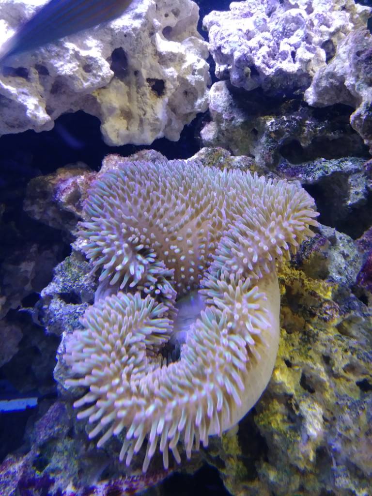 20190313_194844.jpeg