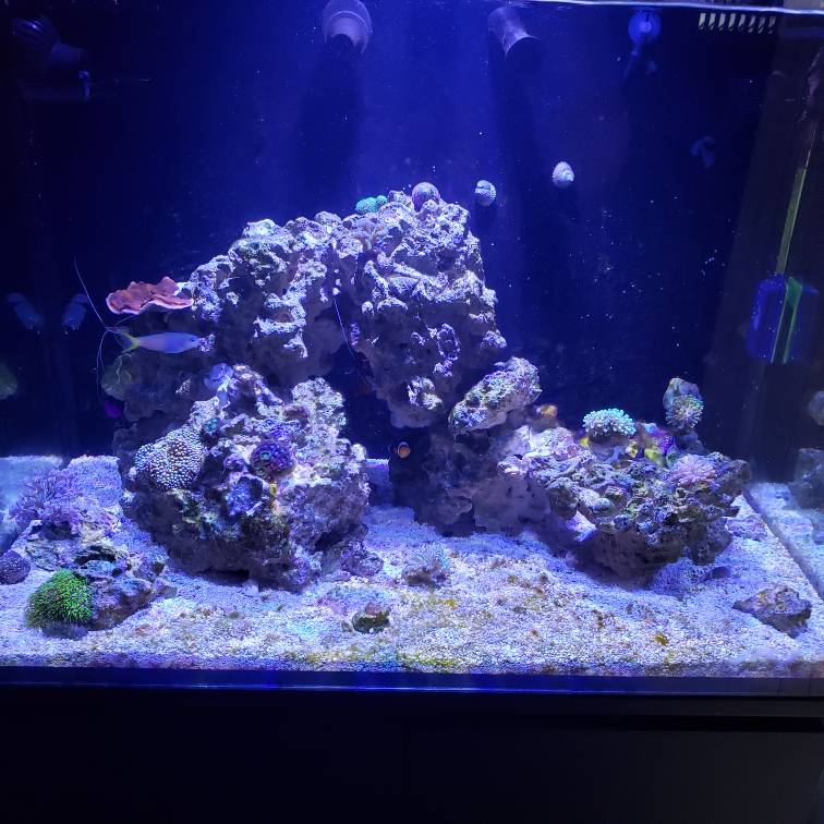 20190314_155456.jpeg