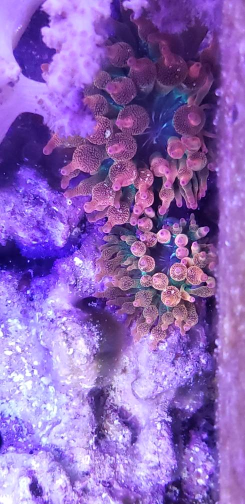 20190314_204811.jpeg