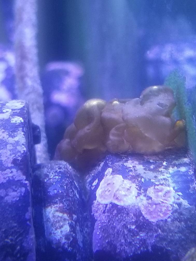 20190315_122640.jpeg