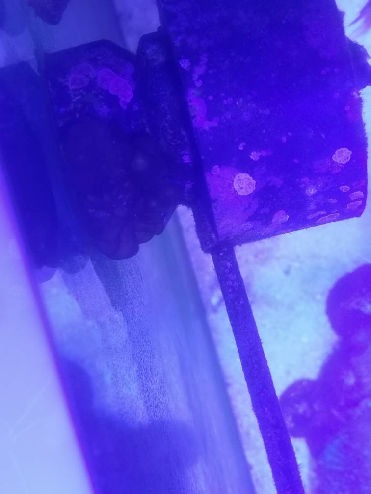 20190315_122723.jpeg