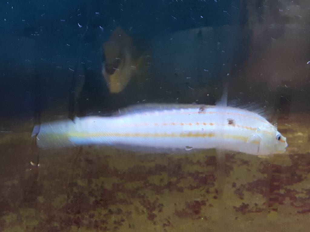 20190315_124839.jpeg