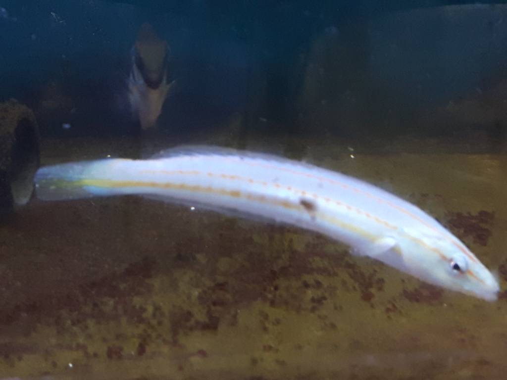20190315_124911.jpeg