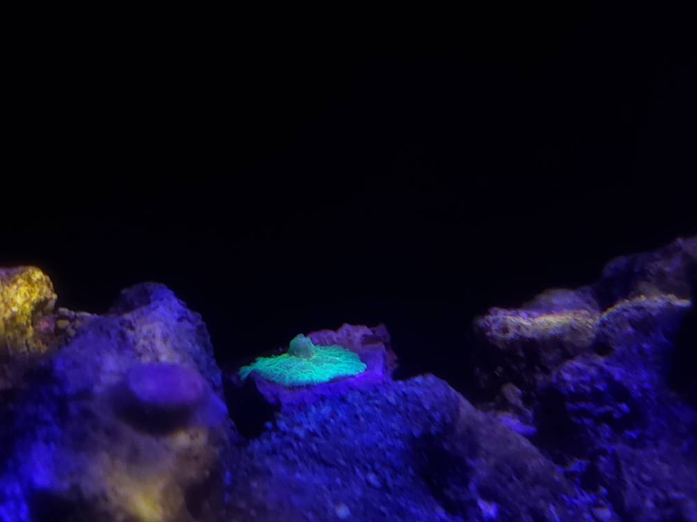 20190316_181559.jpeg