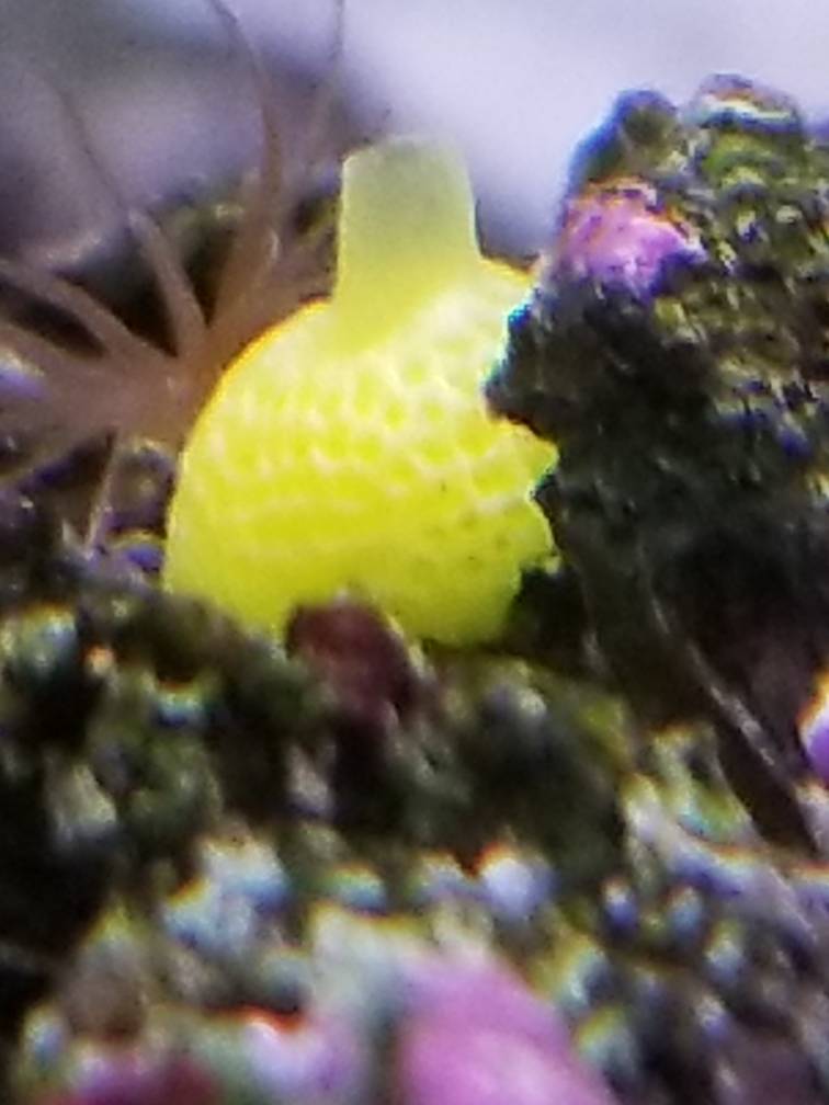 20190316_194641.jpeg