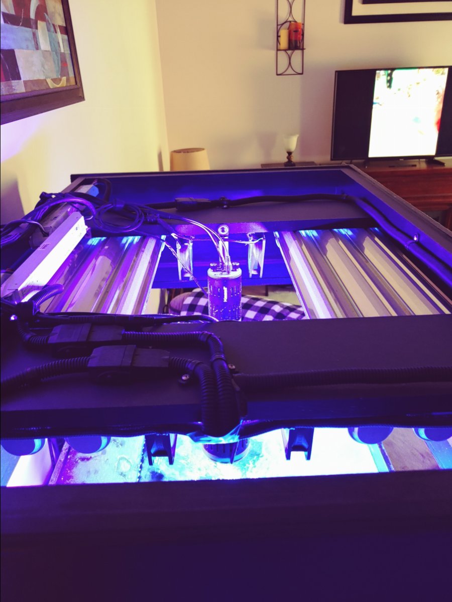 20190317_124454_HDR.jpg