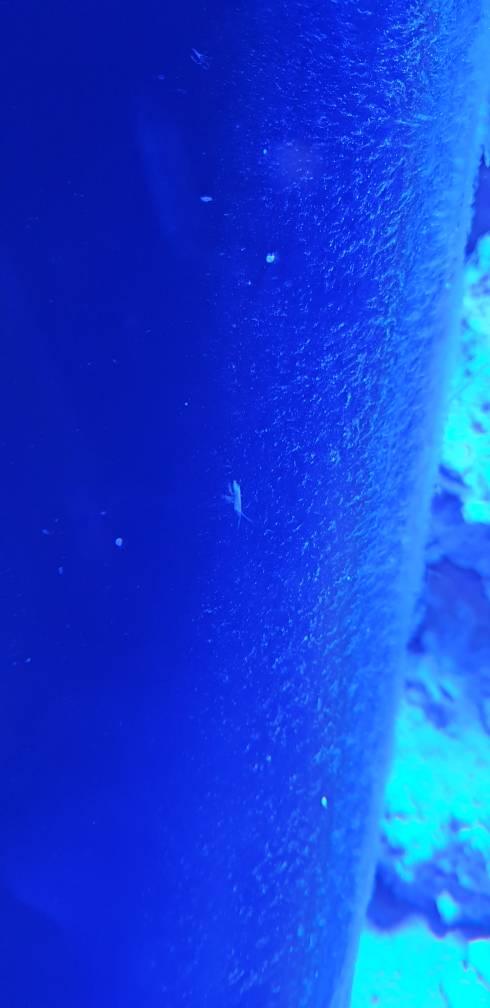 20190317_154803.jpeg