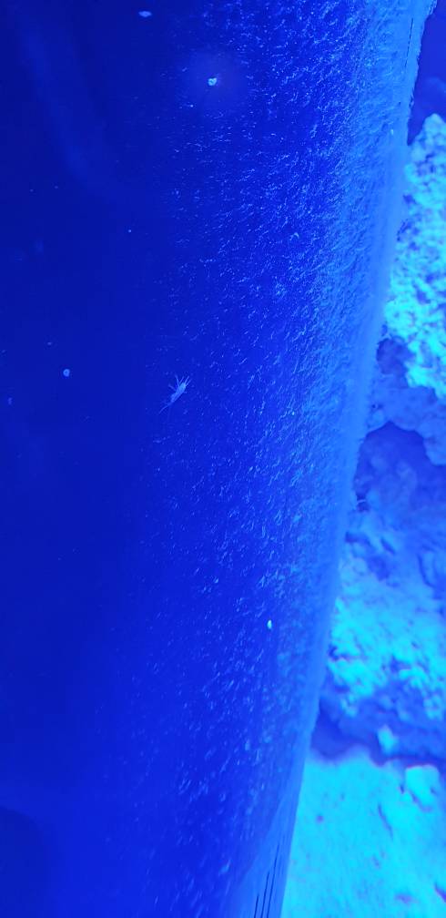 20190317_154805.jpeg
