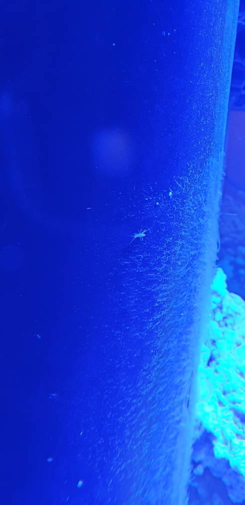 20190317_154849.jpeg