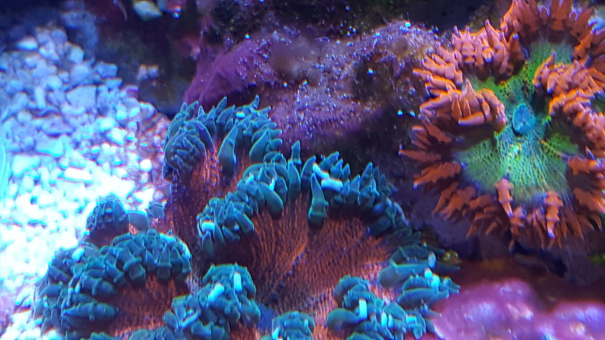 20190318_164233.jpg
