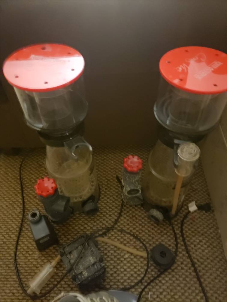 20190318_204433.jpeg