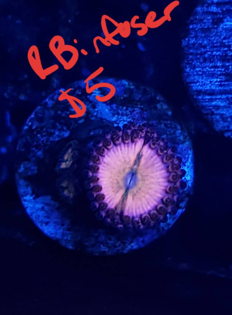 20190319_123416.jpeg