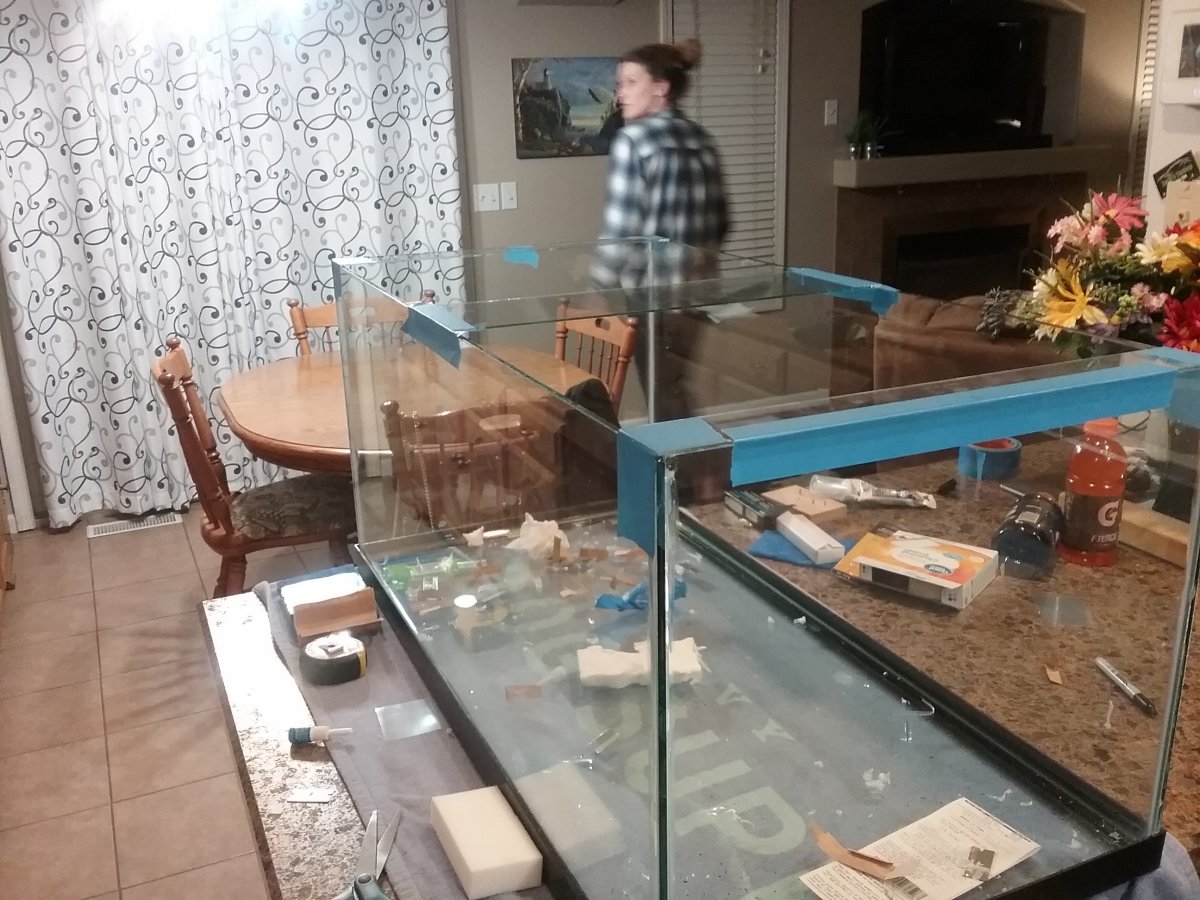 20190319_205357.jpg