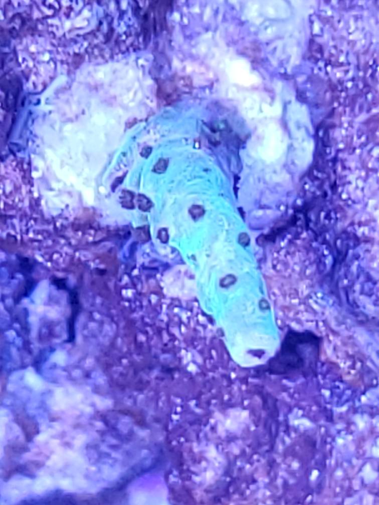 20190320_183914.jpeg