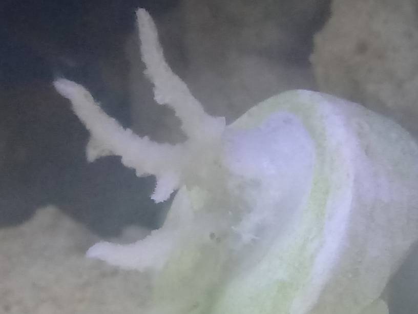 20190321_141428.jpeg