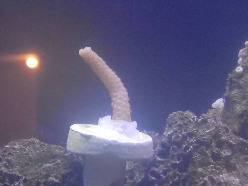 20190321_174923.jpeg