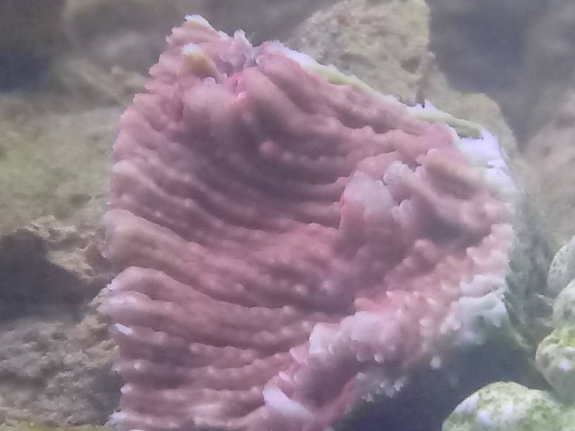 20190321_175205.jpeg