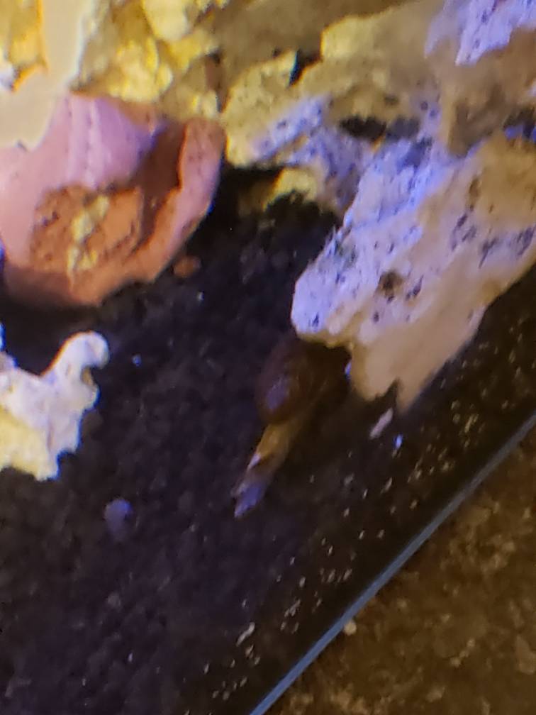 20190322_215924.jpeg