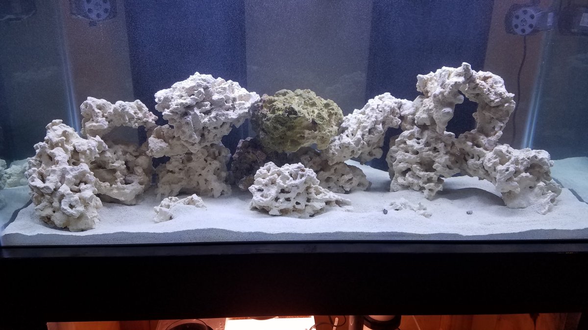 20190323_163304.jpg