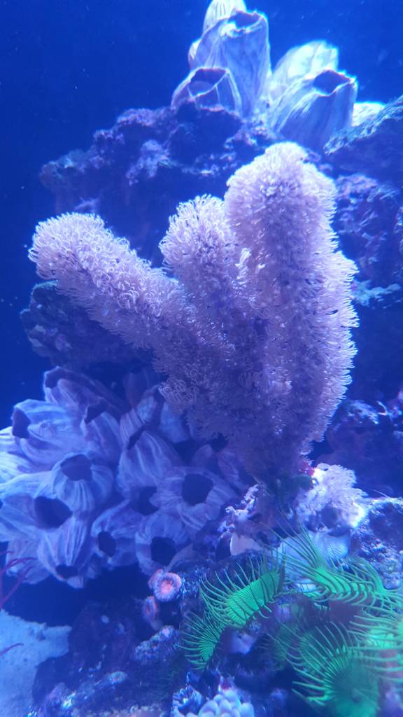 20190324_191435.jpeg