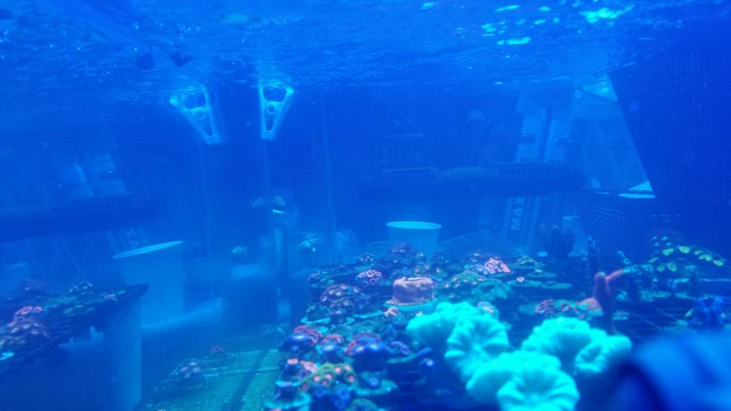 20190325_185409.jpeg