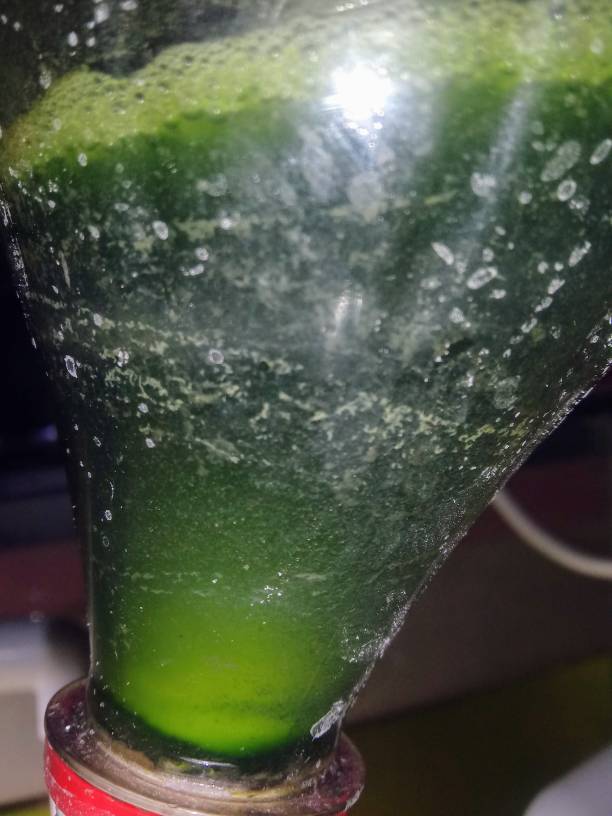 20190326_092019.jpeg