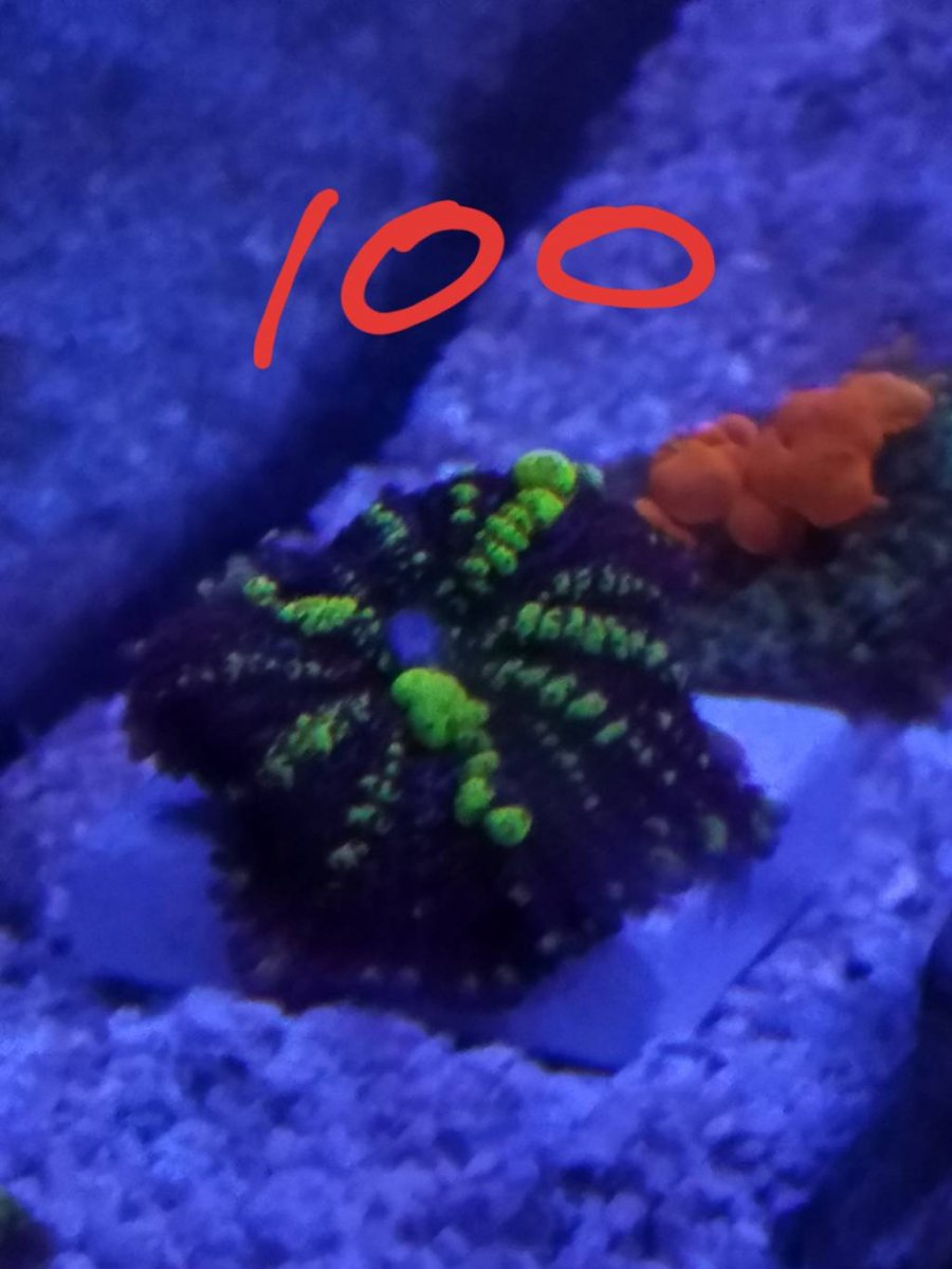 20190326_103812.jpeg