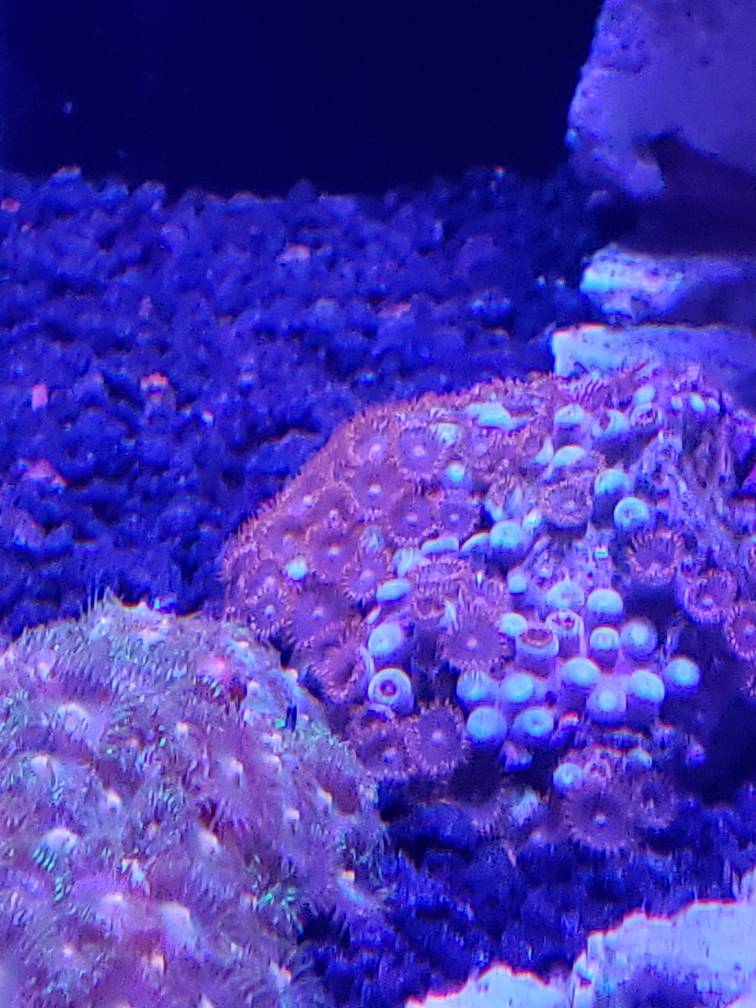 20190326_174540.jpeg