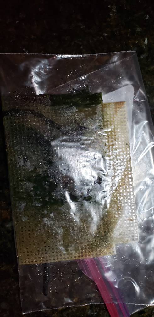 20190326_202120.jpeg