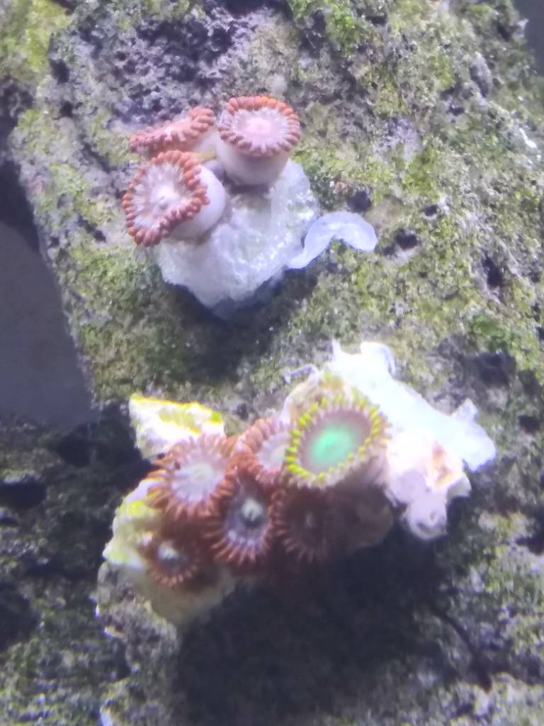 20190327_135620.jpeg