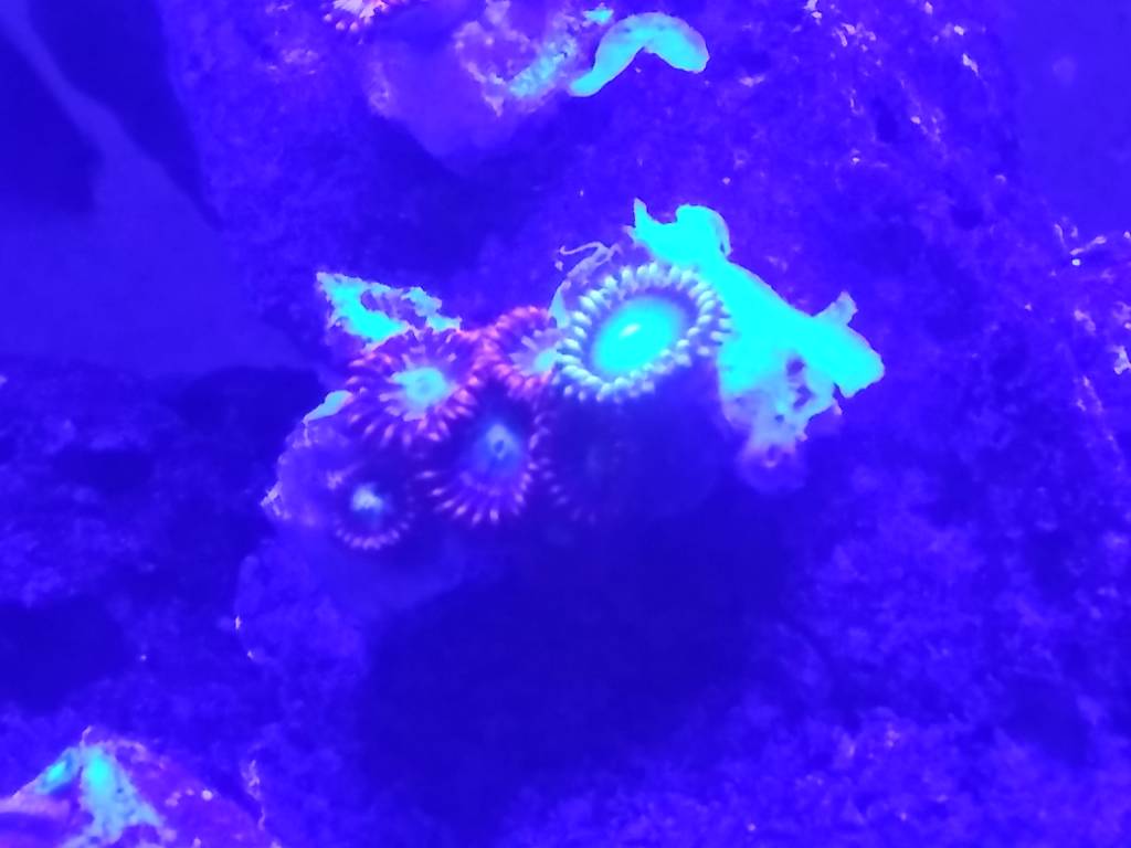 20190327_135654.jpeg