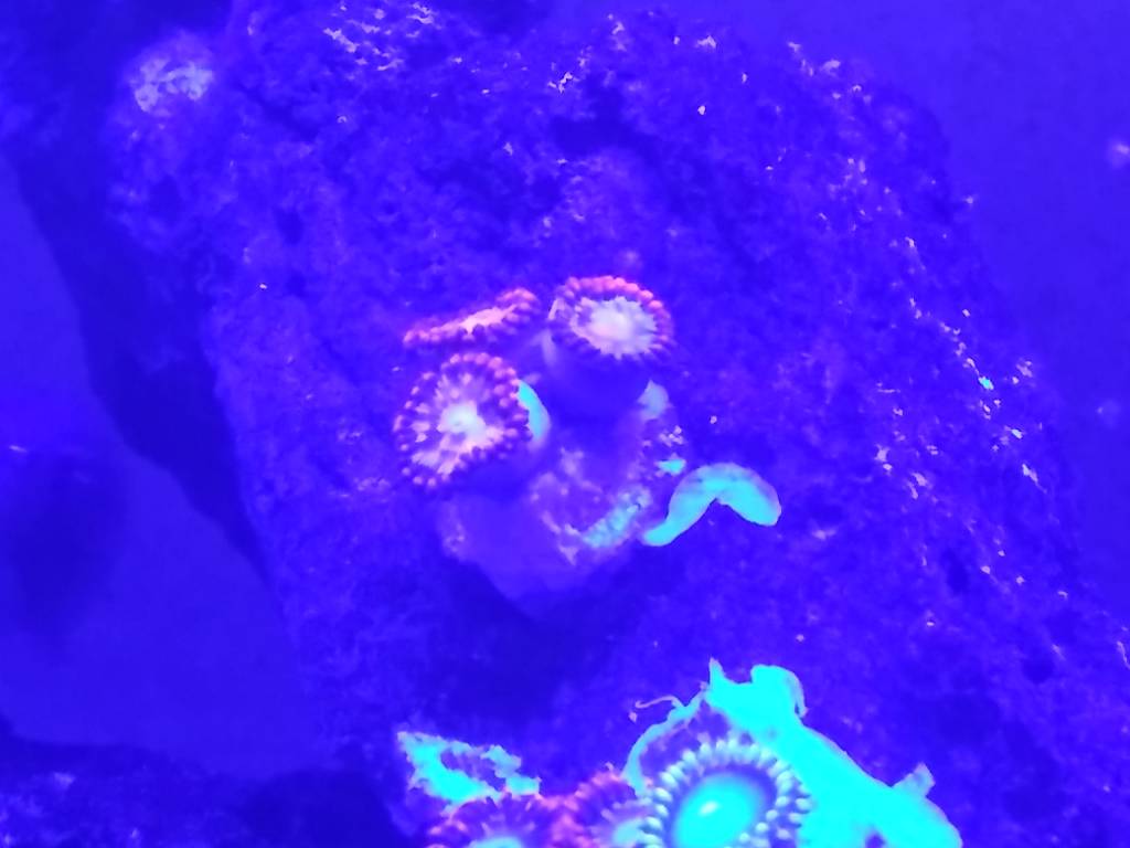 20190327_135709.jpeg