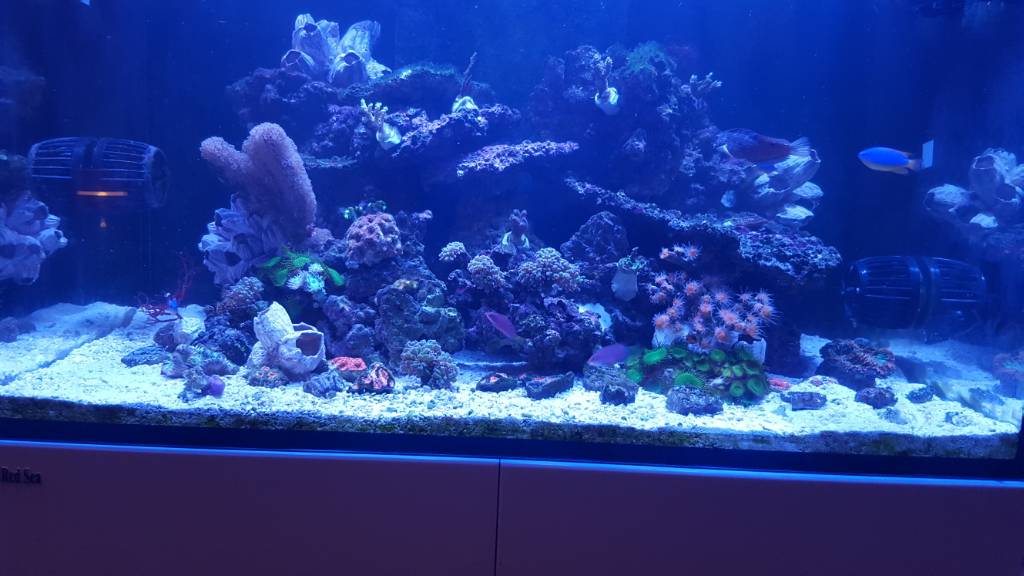 20190327_202850.jpeg