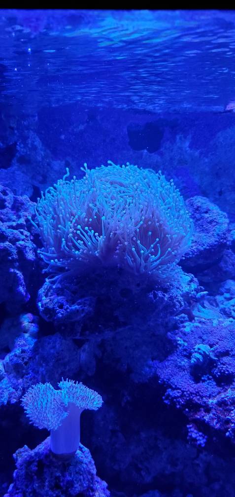 20190330_161437.jpeg