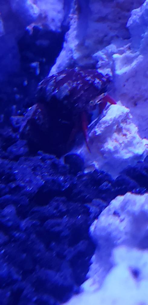20190330_171251.jpeg