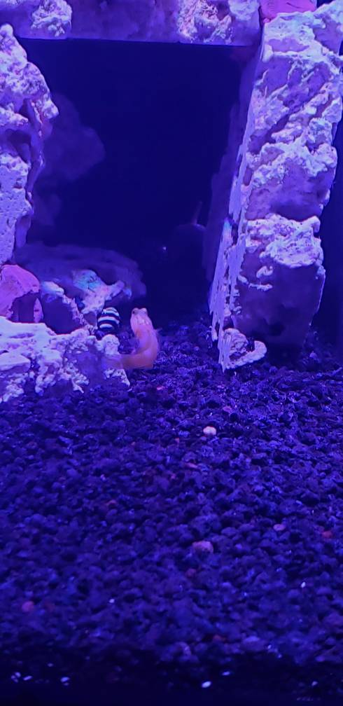 20190330_200455-01.jpeg