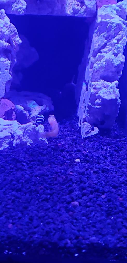 20190330_200455.jpeg