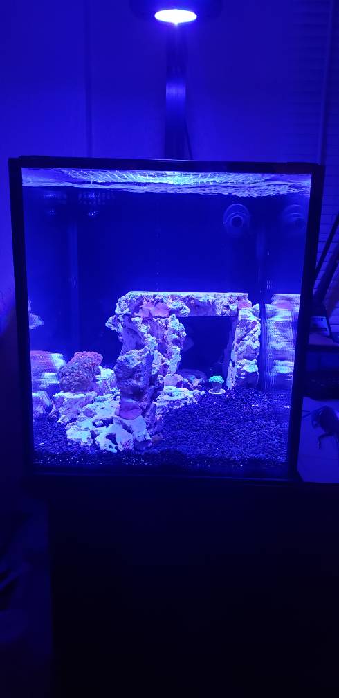 20190330_204121.jpeg