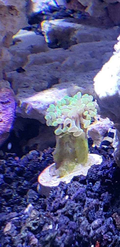 20190330_204644.jpeg