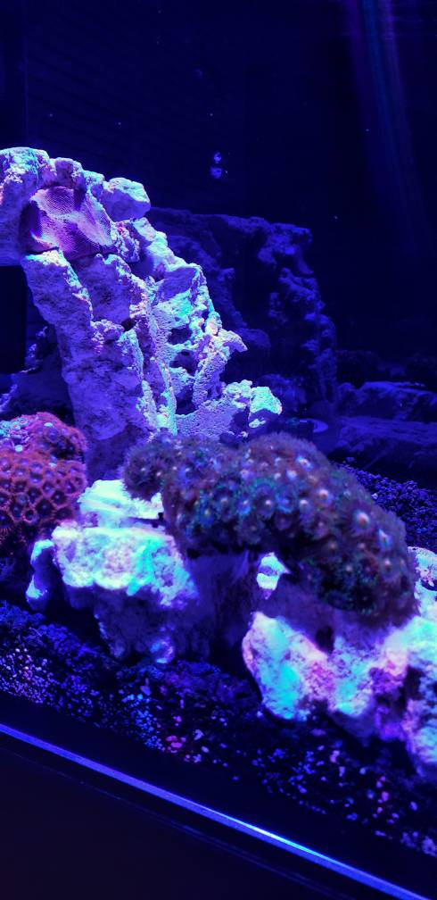 20190330_210350-01.jpeg