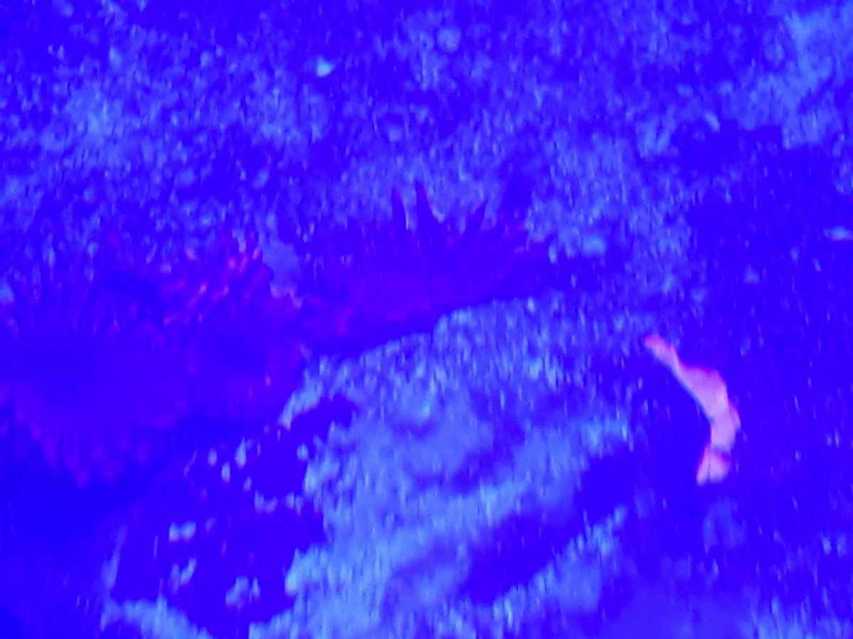 20190331_100957.jpg