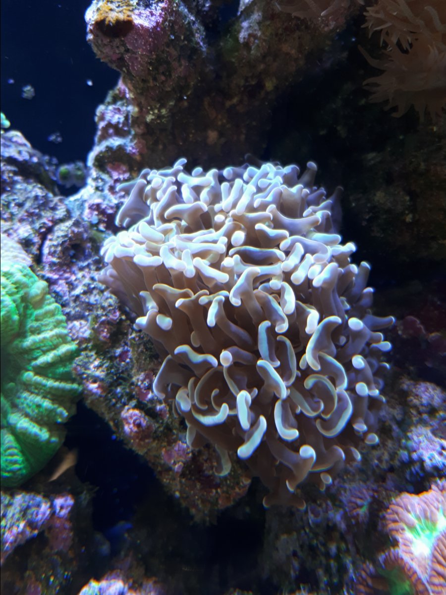 20190331_132251.jpg